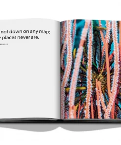 Assouline Book "The Coral Triangle" 4 Assouline Book