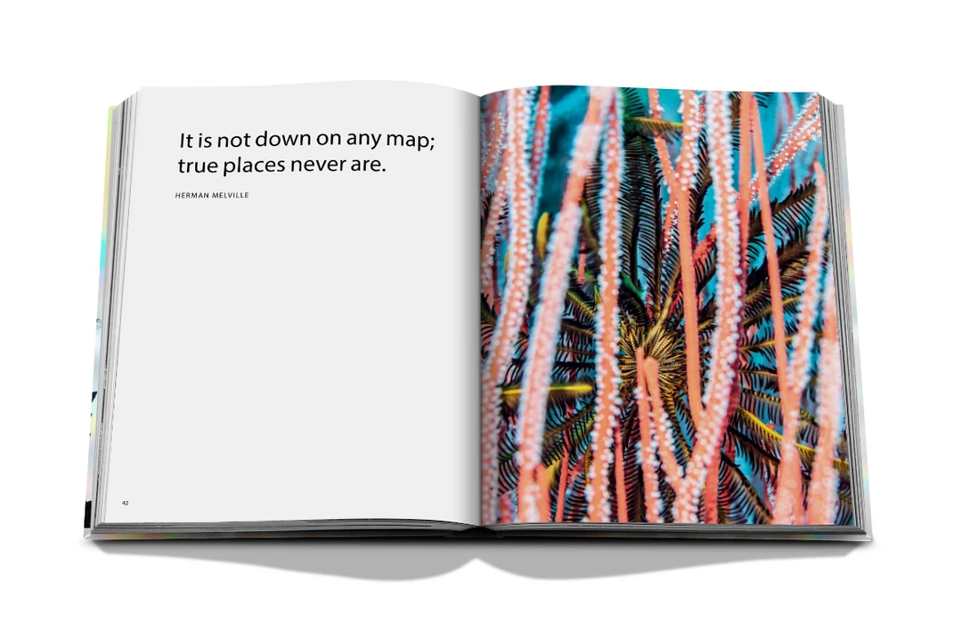 Assouline Book "The Coral Triangle" Assouline Book "The Coral Triangle"