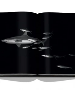 Assouline Book "The Coral Triangle" 5 Assouline Book