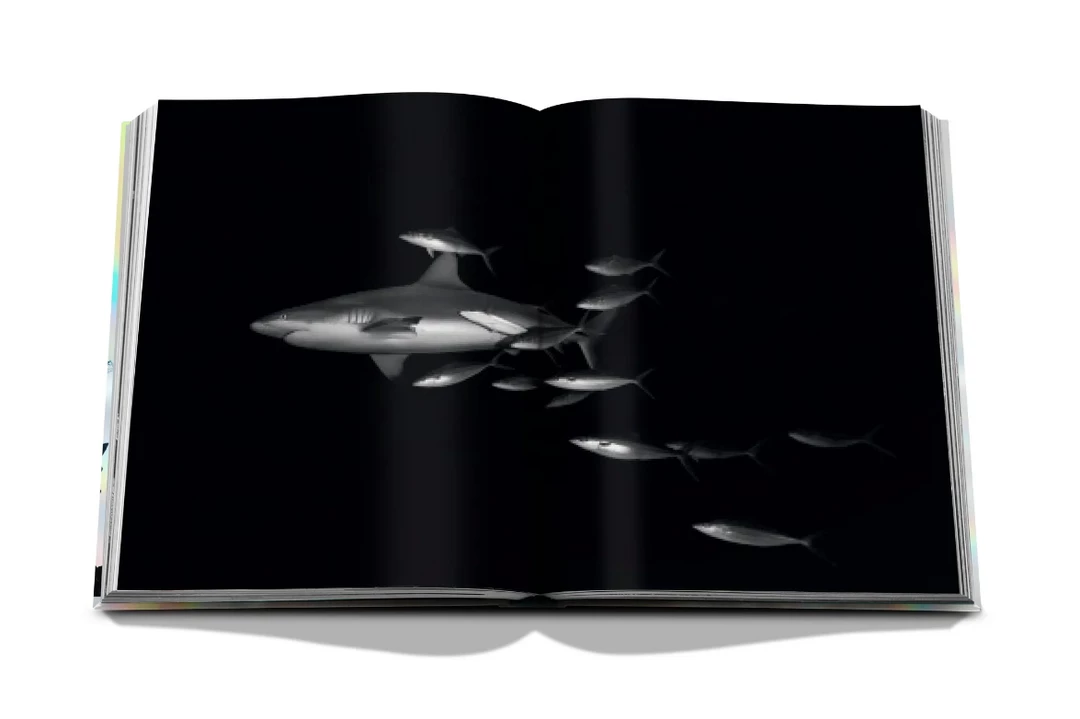 Assouline Book "The Coral Triangle" Assouline Book "The Coral Triangle"