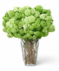 Aerin Lattea Large Vase