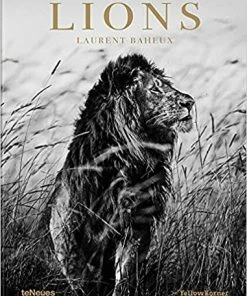 Teneus Publishing Lions Book
