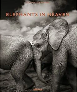 Teneus Publishing Gifts By Occasion Elephants In Heaven Book