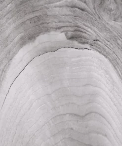 John Richard CABINET TWO-DOORS BLACK AND WHITE Side Tables