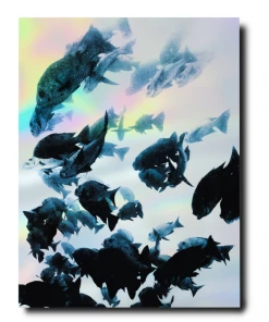 Assouline Book "The Coral Triangle" 2 Assouline Book