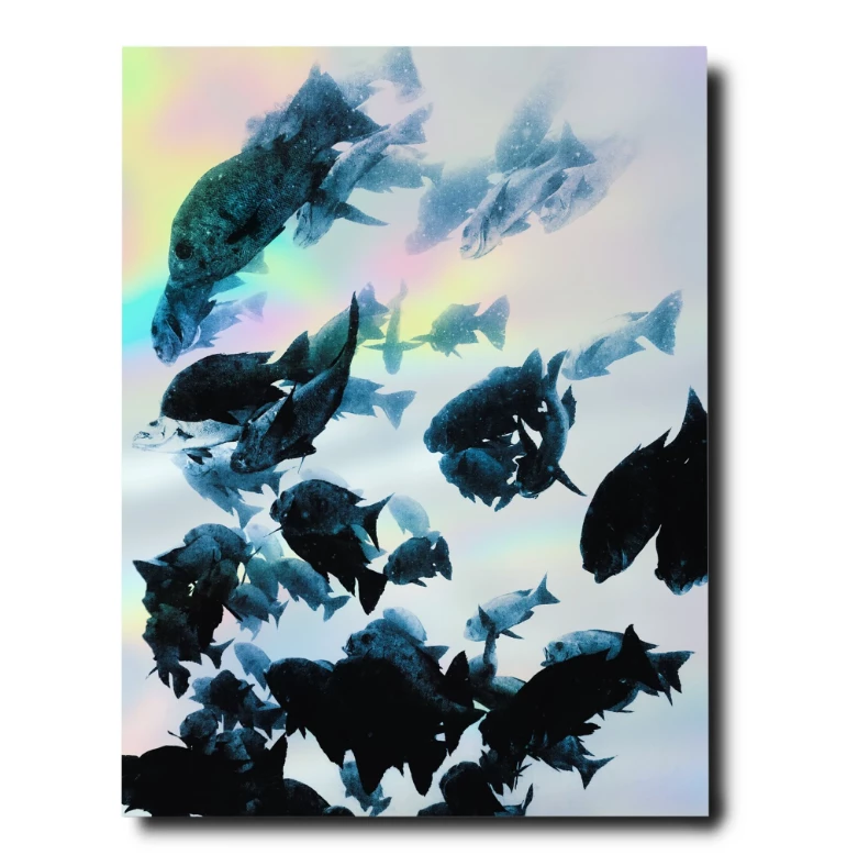 Assouline Book "The Coral Triangle" Assouline Book "The Coral Triangle"