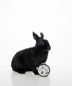 FORMULARY 55 SHEA BUTTER HAND & BODY CREAM (GARDENIA BLOSSOMS) 2 FORMULARY 55 SHEA BUTTER HAND & BODY CREAM (GARDENIA BLOSSOMS)