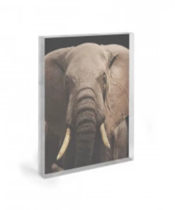 Art Addiction ACRYLIC SCULPTURE ART ELEPHANT Gifts By Occasion