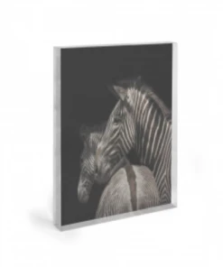 Art Addiction Gifts By Occasion ACRYLIC SCULPTURE ART TWO ZEBRAS
