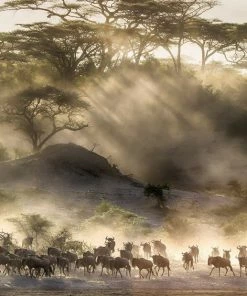 Teneus Publishing Gifts By Occasion The World Book 3 Teneus Publishing Gifts By Occasion The World Book