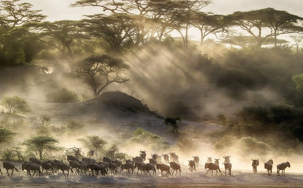 Teneus Publishing Gifts By Occasion The World Book Teneus Publishing Gifts By Occasion The World Book