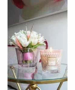 My First Baobab - Paris Gifts By Occasion